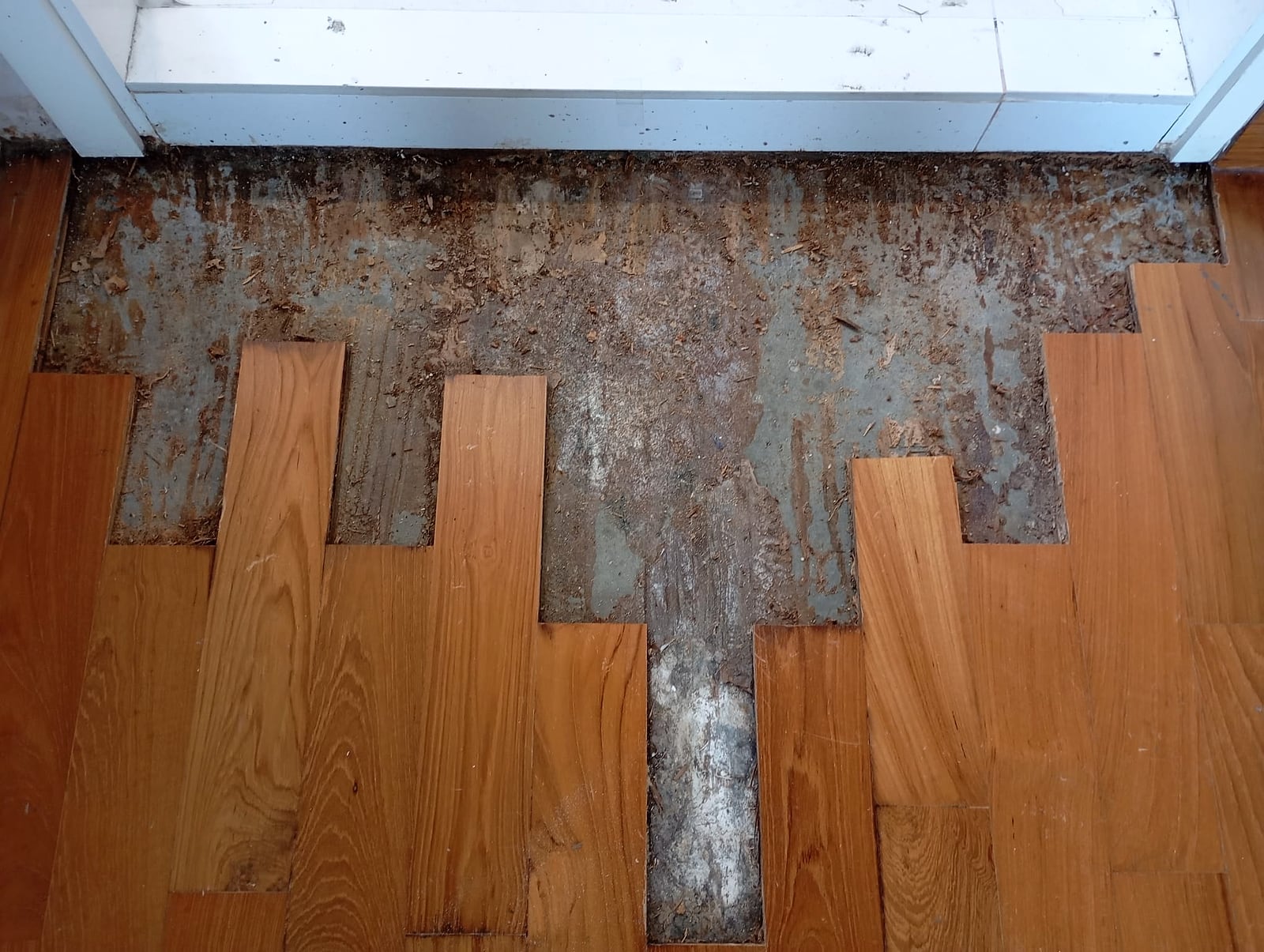 Parquet floor opened for old coating removal and repair preparation